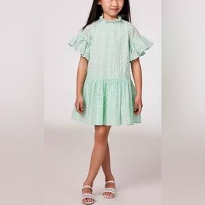 ❤️janie and Jack Mint Green Eyelet Kids Dress